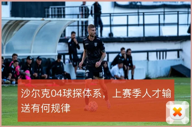 沙尔克04球探体系,上赛季人才输送有何规律