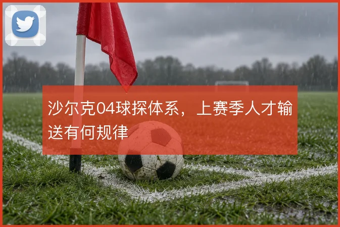 沙尔克04球探体系，上赛季人才输送有何规律