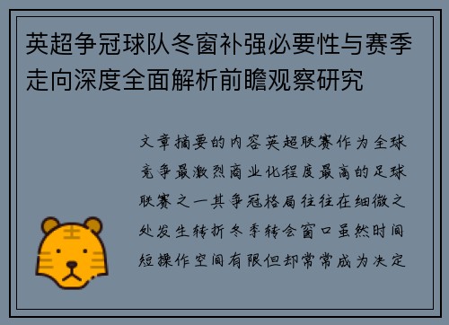 英超争冠球队冬窗补强必要性与赛季走向深度全面解析前瞻观察研究